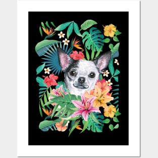 Tropical Short Haired Black and White Chihuahua Posters and Art